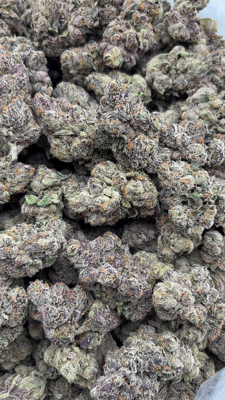 Bubblegum Gelato by LAX