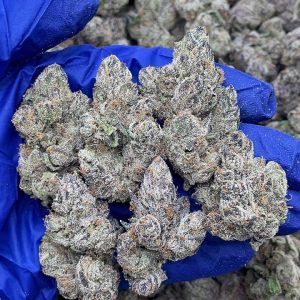 Bubblegum Gelato by LAX