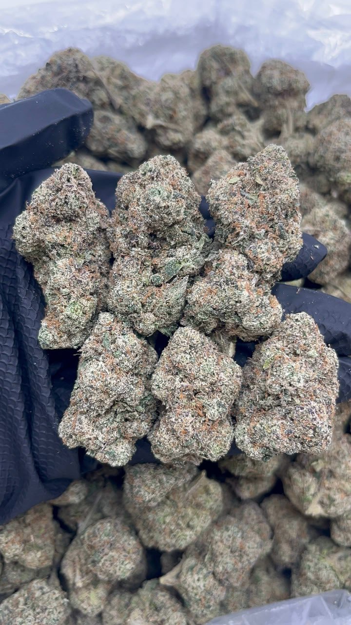 Candy Drip
