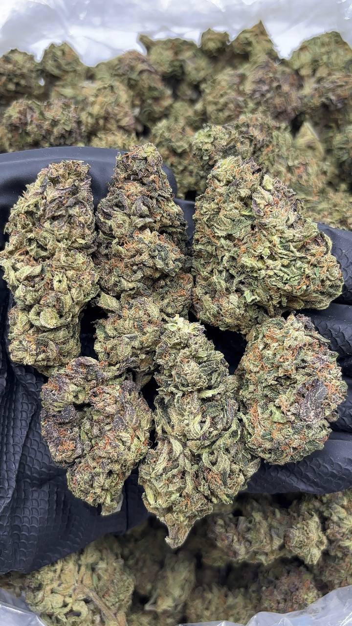 Zookies