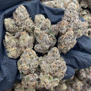 Candy Popperz by LAX