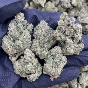 Exodus Cheese