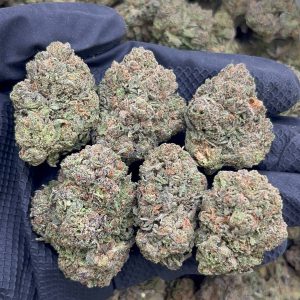 Mango Runtz