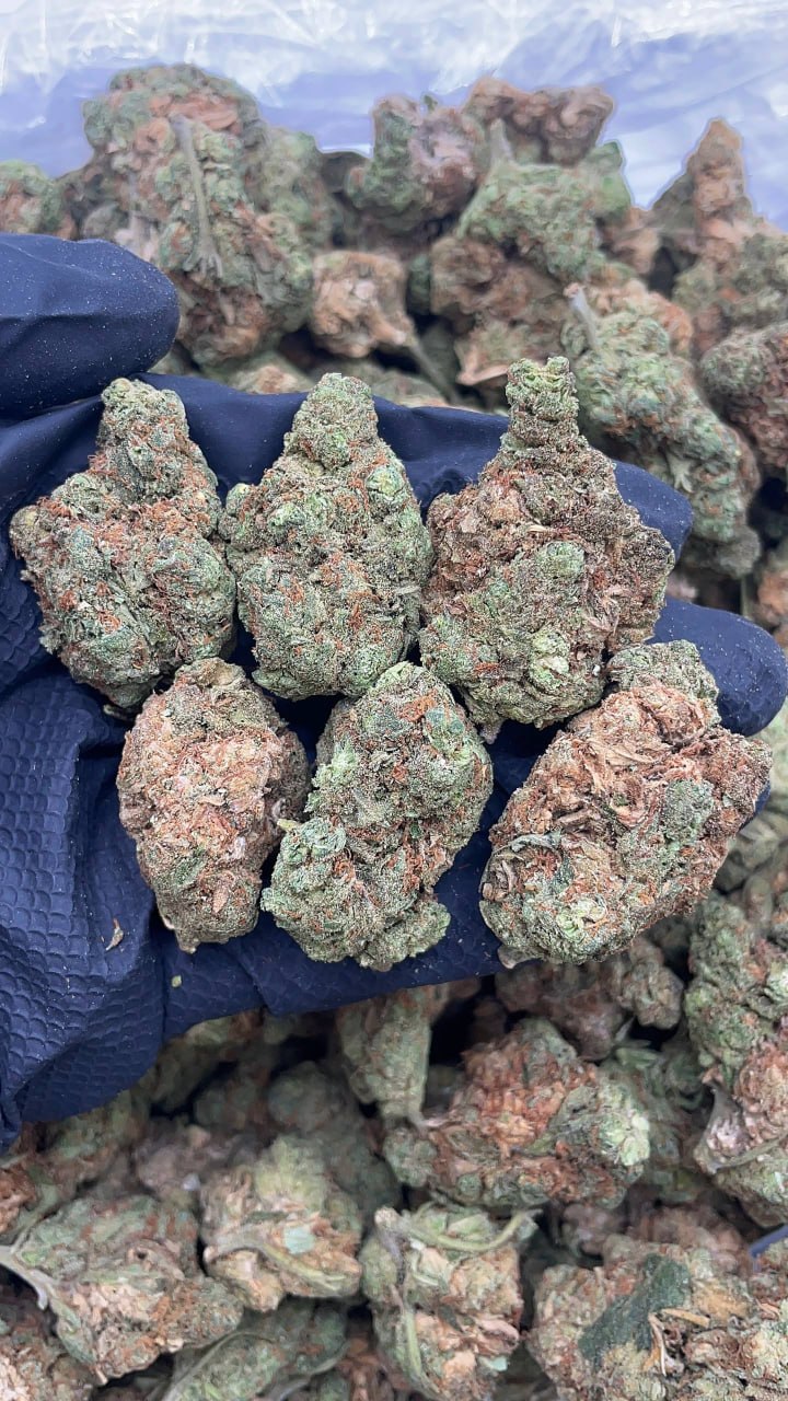 Pink Sherb