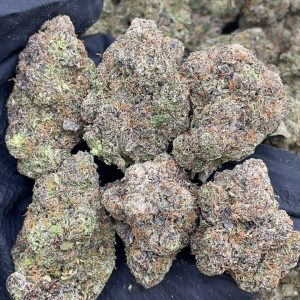 Purple Cherry Gelato