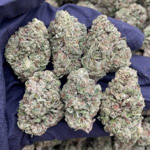 Super Lemon Haze