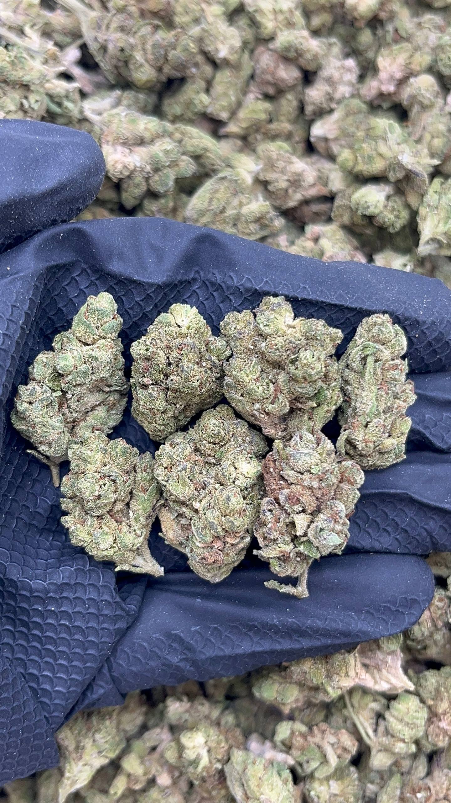 Blue Toffee Mediums