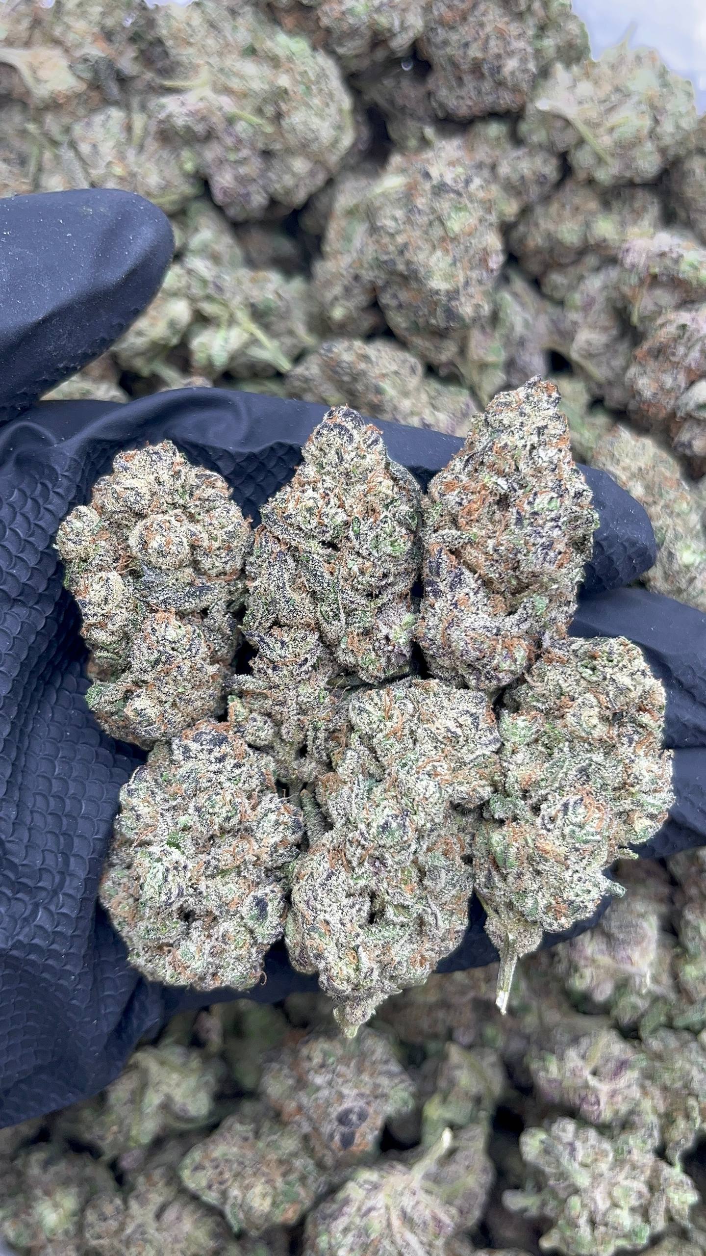 Blueberry Space Cake