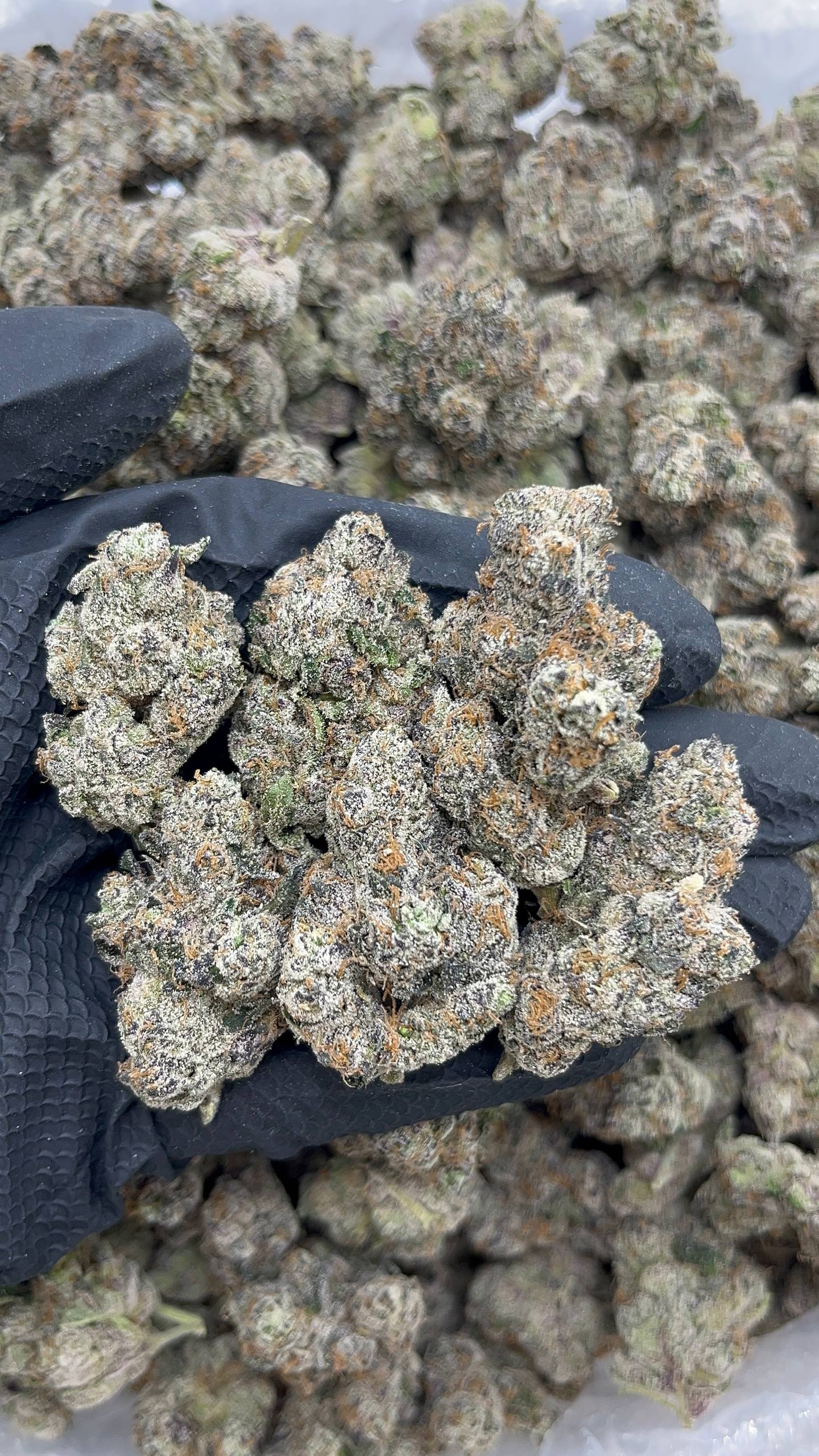 Candy Popperz