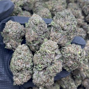 Cherry Fundip