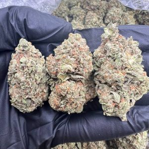 Frozen Trufflez