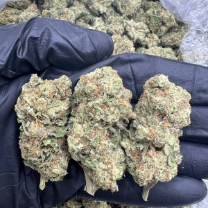 Guava Gas