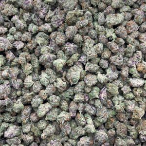 HFCS Micros