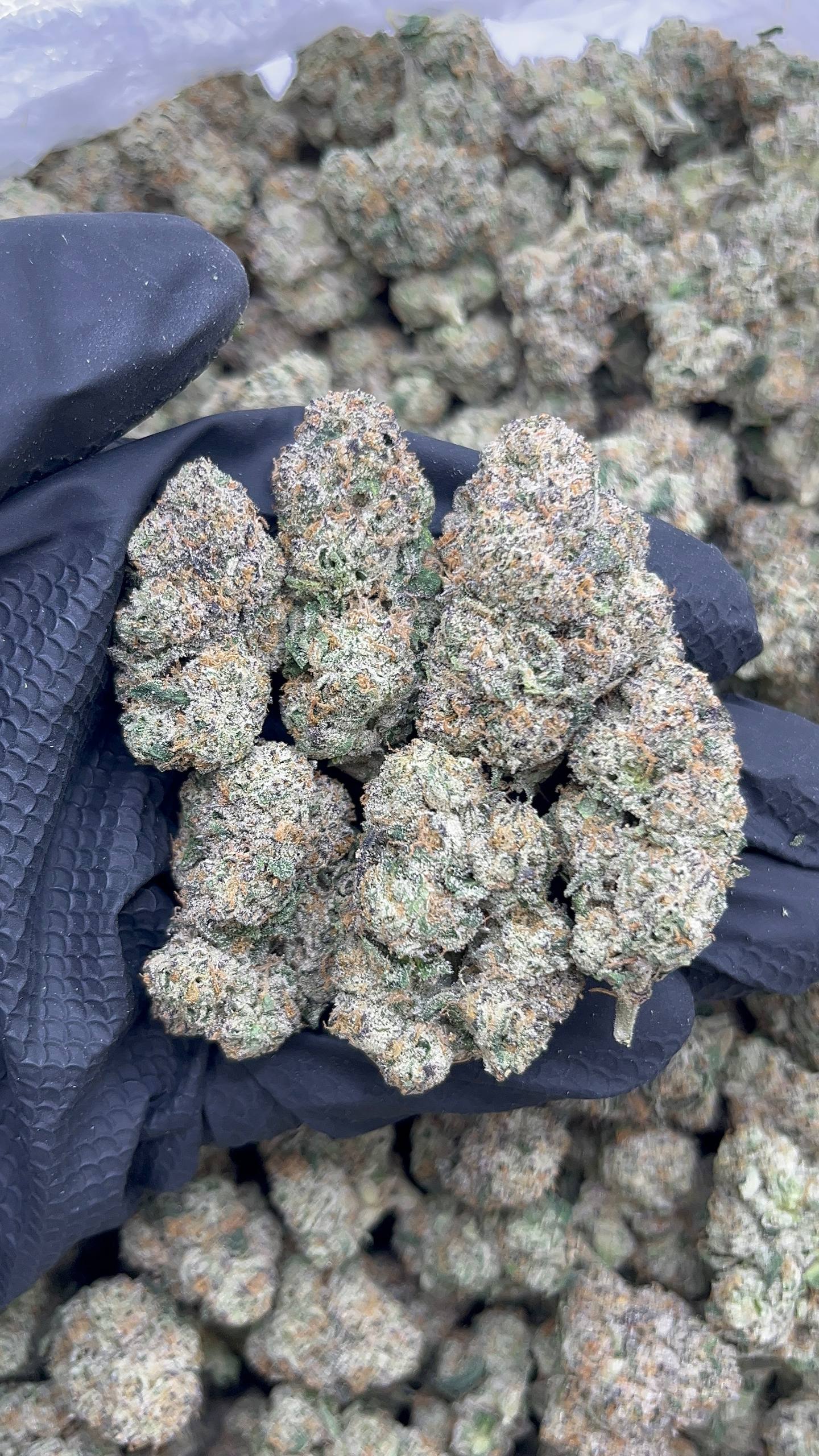 Lemon Cherry Runtz