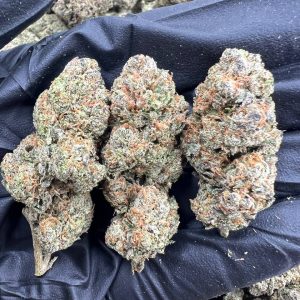 Mango Runtz