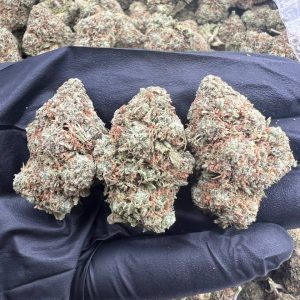Pink Candy