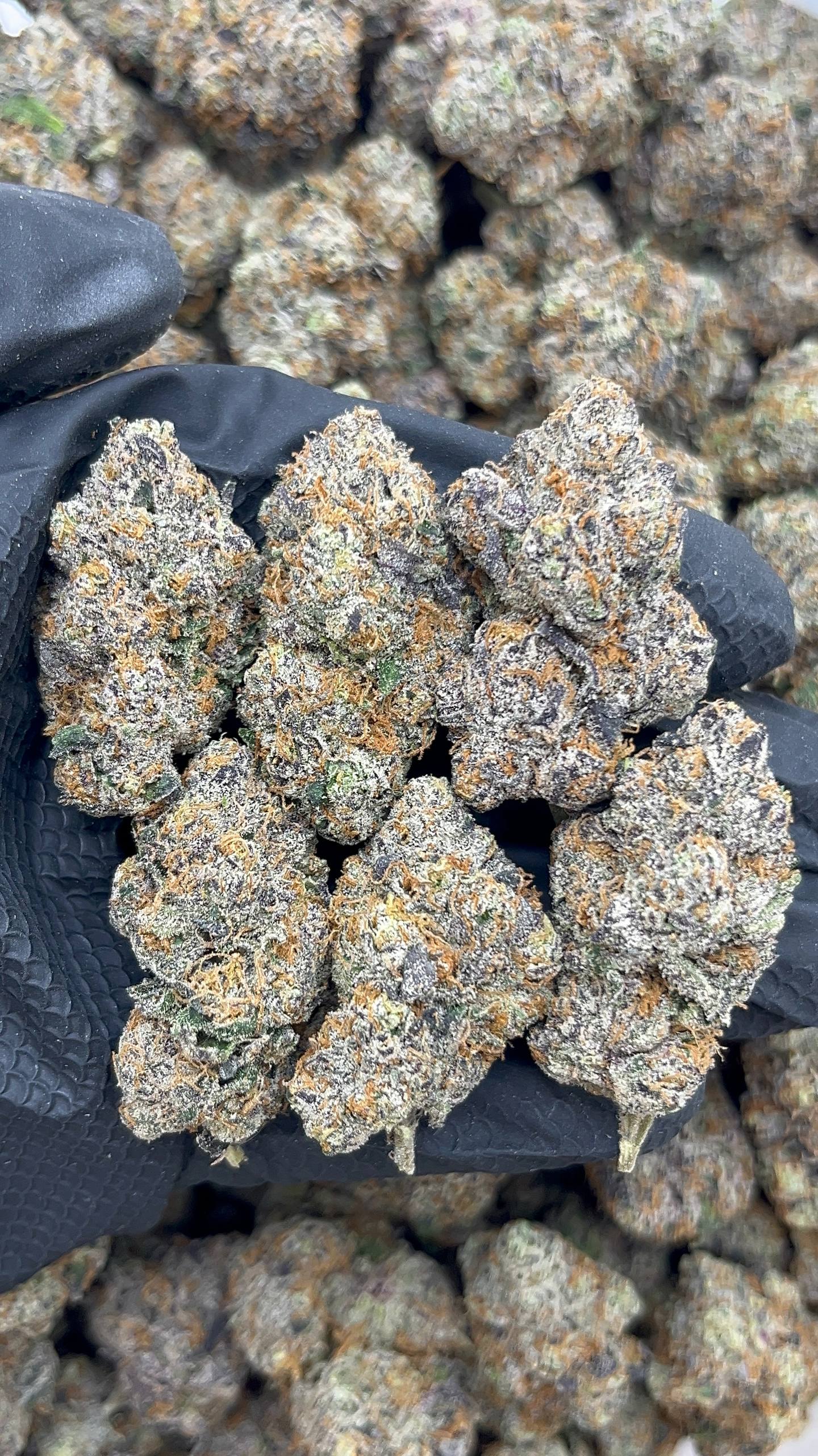 Purple Guava Runtz