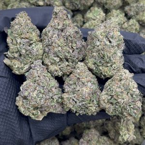 Purple Thin Mints