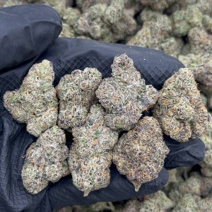 Sour Cherries