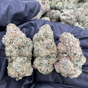 Bubblegum Gelato