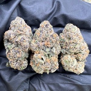 Blue Guava Gelato