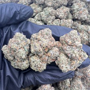 Candy Gelato