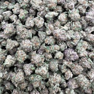 Exotic Punch Smalls