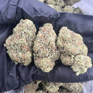 Frozen Gelato