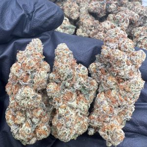 Glitterbomb X Runtz