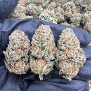 Guava Cookies