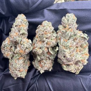 Gypsy Haze