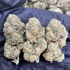Mango Mints