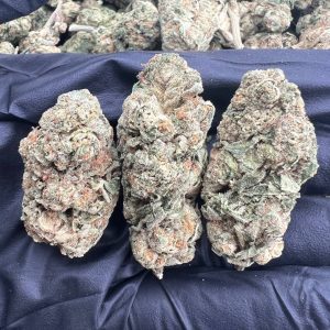 Mango Mints