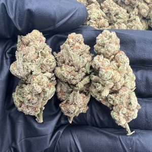 Pink Glitterbomb