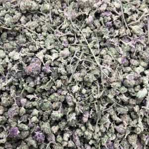 Purple Cream Micros