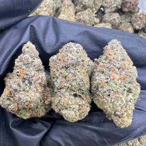 Purple Fritters