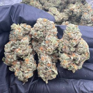 Purple Jack