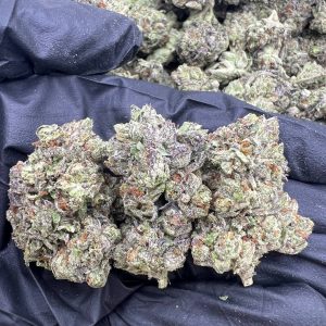 Raspberry Gelato