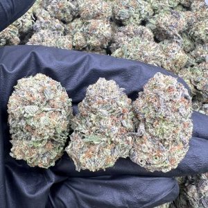 Runtz N Cream
