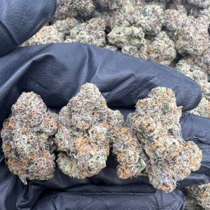 Sour Runtz