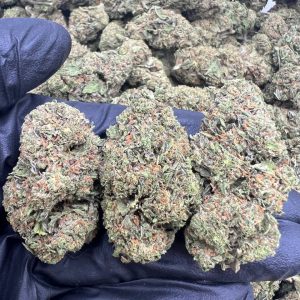 Sunset Gas