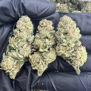 White Jet Fuel