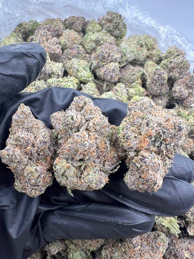 Black Lemon Cherry