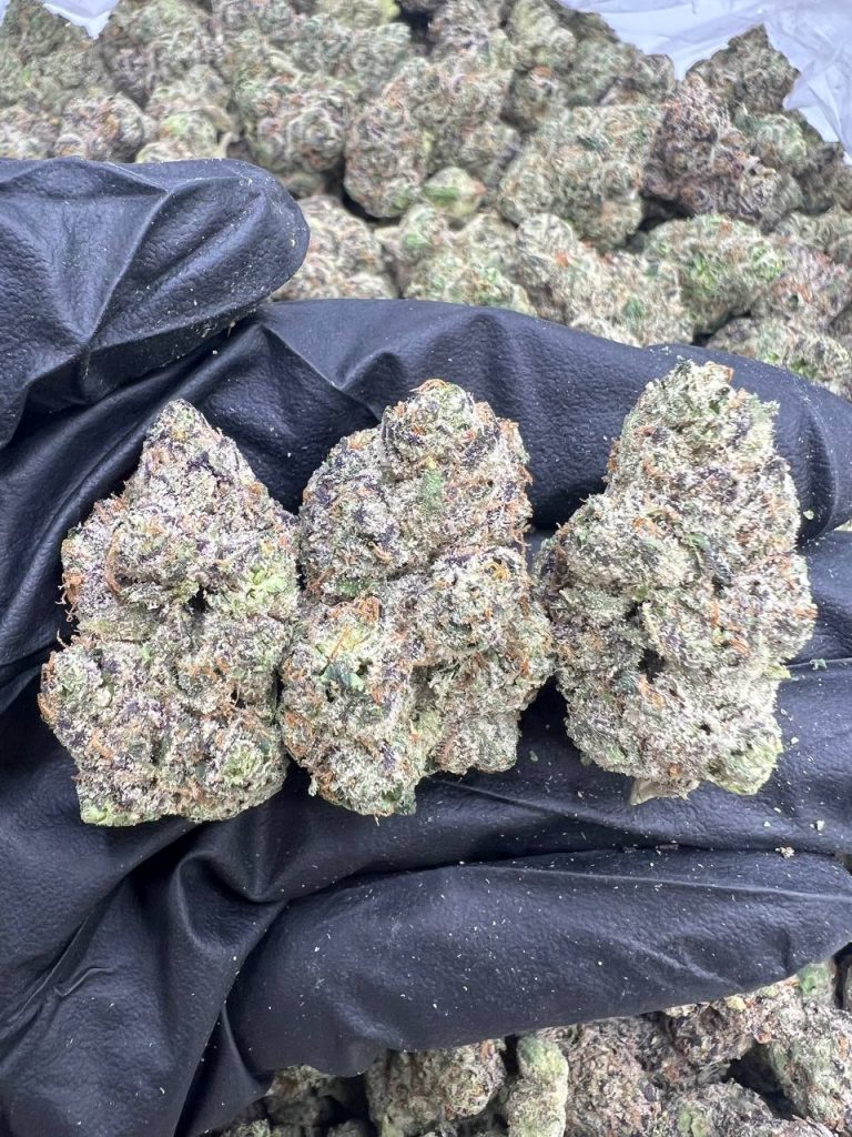 Blue Candy Popperz