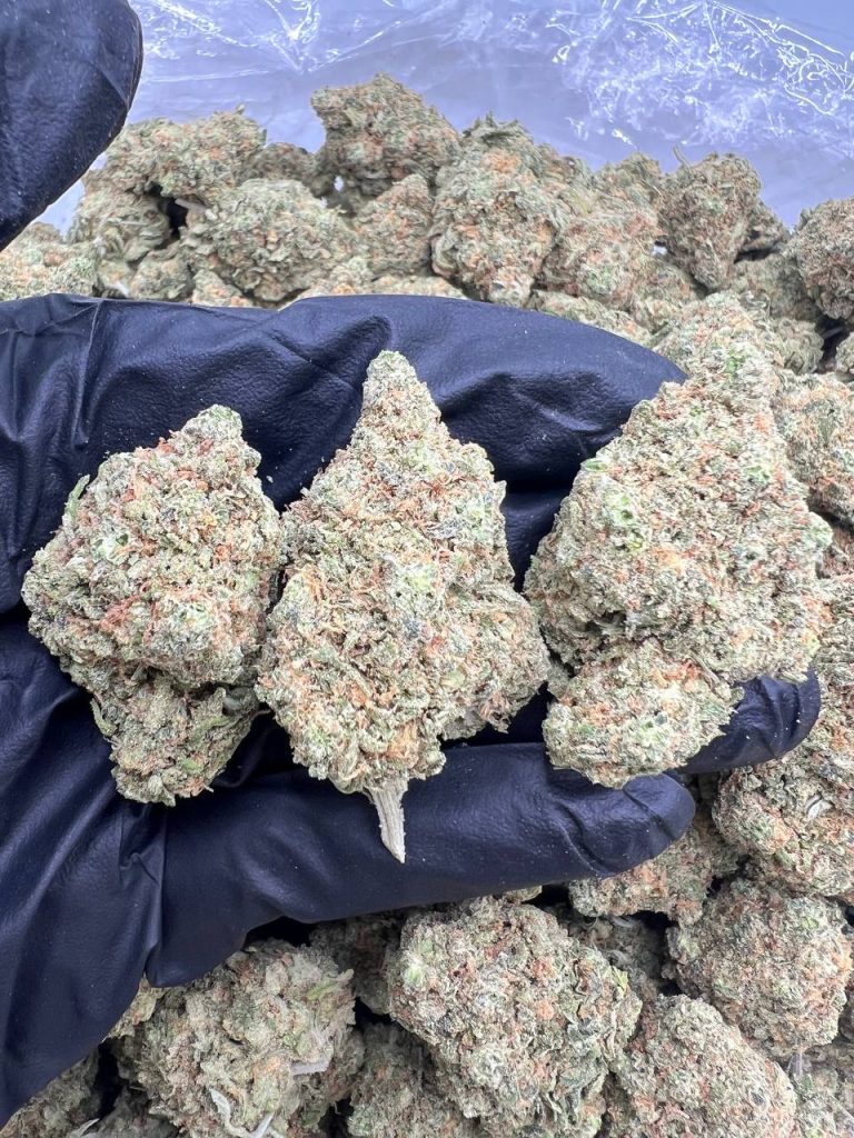 Blue Dream