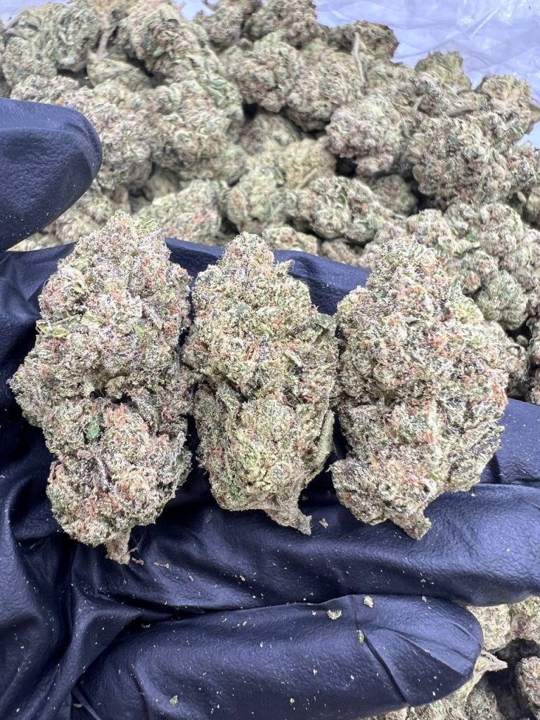 Blueberry Bombpop