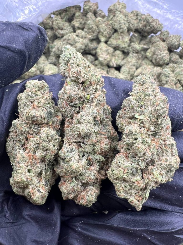 Bubblegum Gas