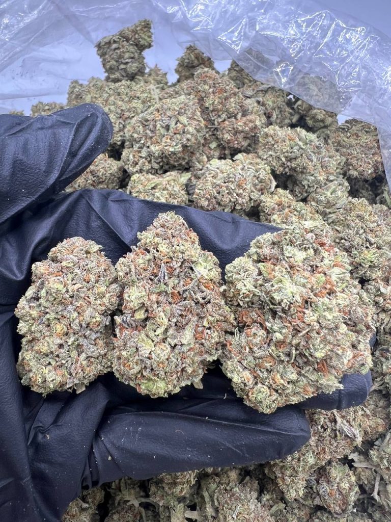 Jet Fuel Gelato
