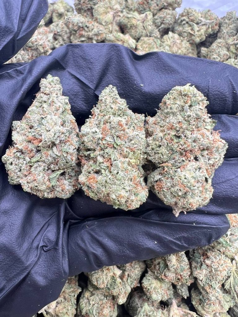 Snickerdoodle