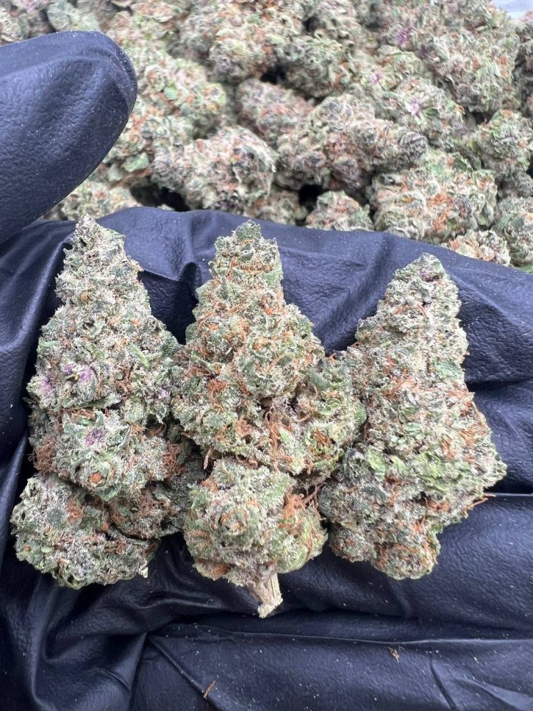 Super Boof Meds